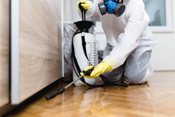 Best Wasp Removal Services  in Blue Point, NY