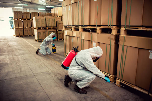 Best Wildlife Control Services  in Blue Point, NY