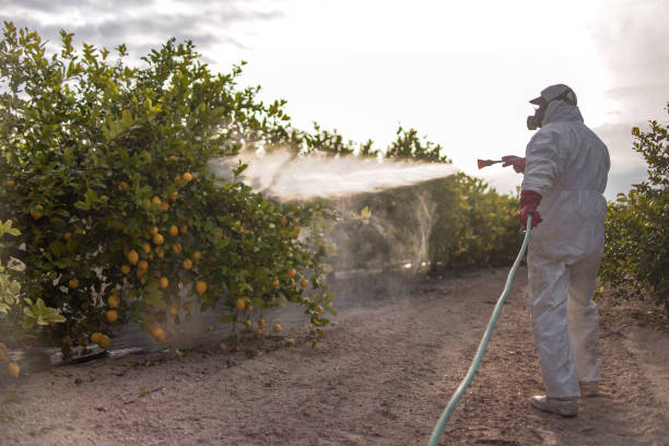 Best Wildlife Control Services  in Blue Point, NY